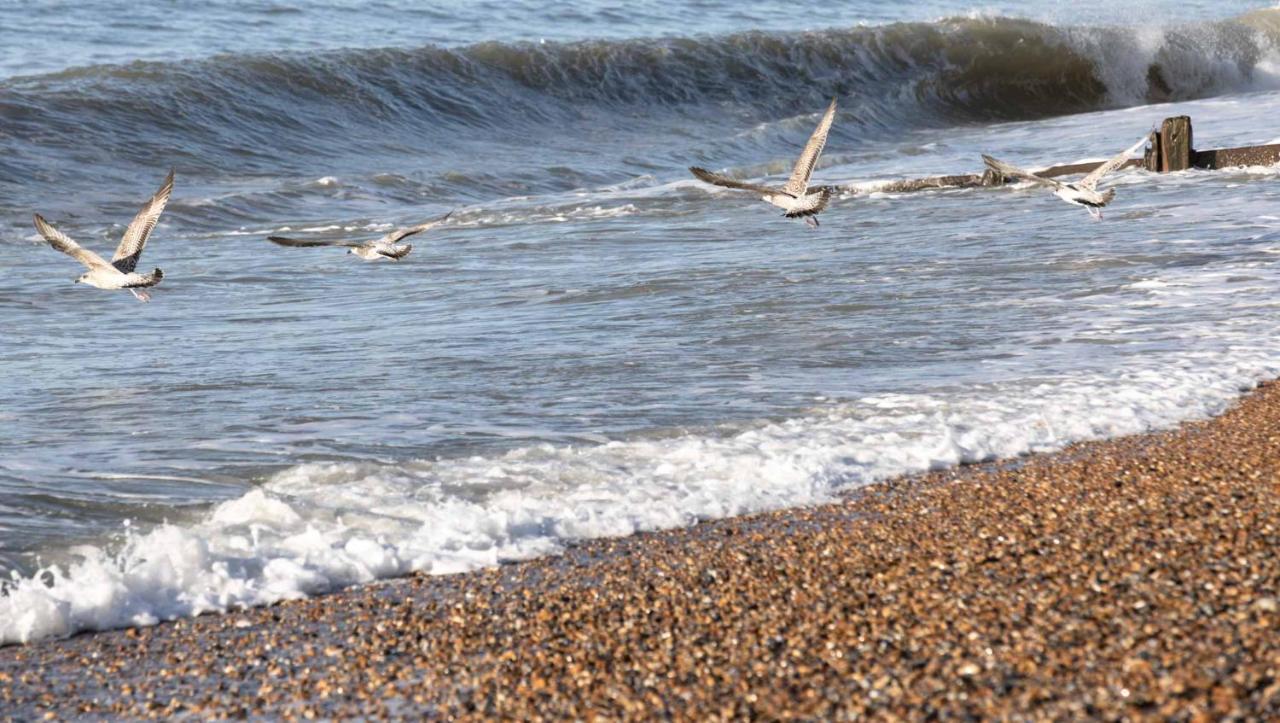 The Relais Cooden Beach And Spa Bexhill-on-Sea Exteriér fotografie